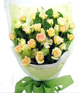 20premium champagne roses . White bellflower Tang cotton