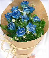 11 Blue roses