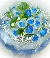16 Blue roses