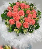 20 Pink roses