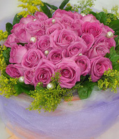 20 Purple roses