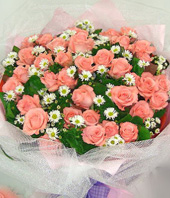 36 Pink roses