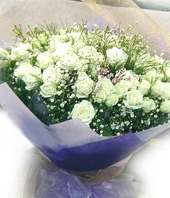 101 White Roses