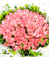 101 Pink Roses