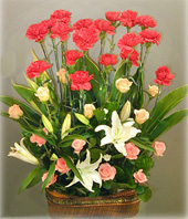 20 Carnations with Top class,20 roses,5 lilium