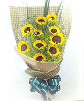 10 Sunflowers