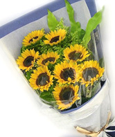 9 Sunflowers