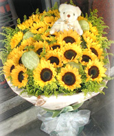 33 Sunflowers,A bear