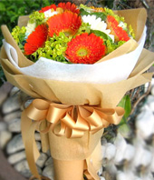 10 Gerbera Daisies with double color